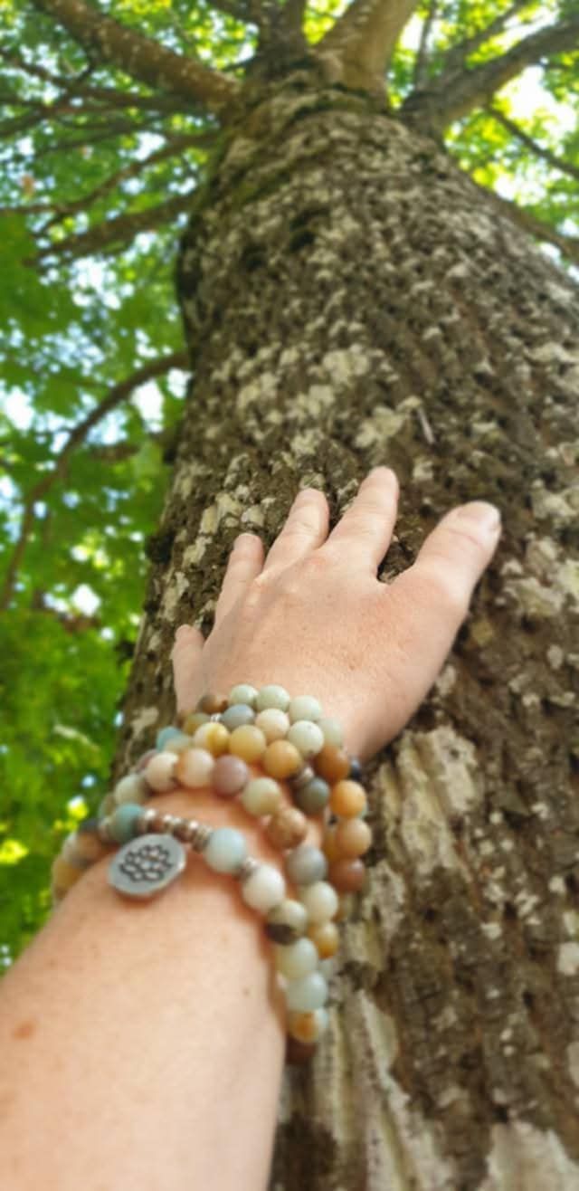 Véronique - L'Enchanteresse